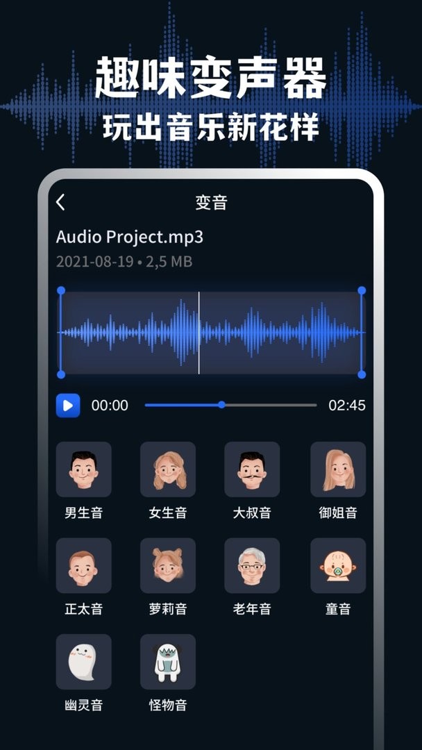 audiolab iPhone v1.1.8 ios0
