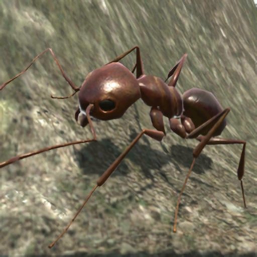 蚂蚁模拟3d最新版